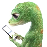 
GEICO